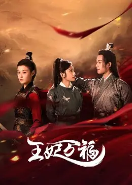 《王妃万福》：甜宠升级，看落魄千金如何逆袭成团宠王妃，爆笑又暖心的古装爱情喜剧！